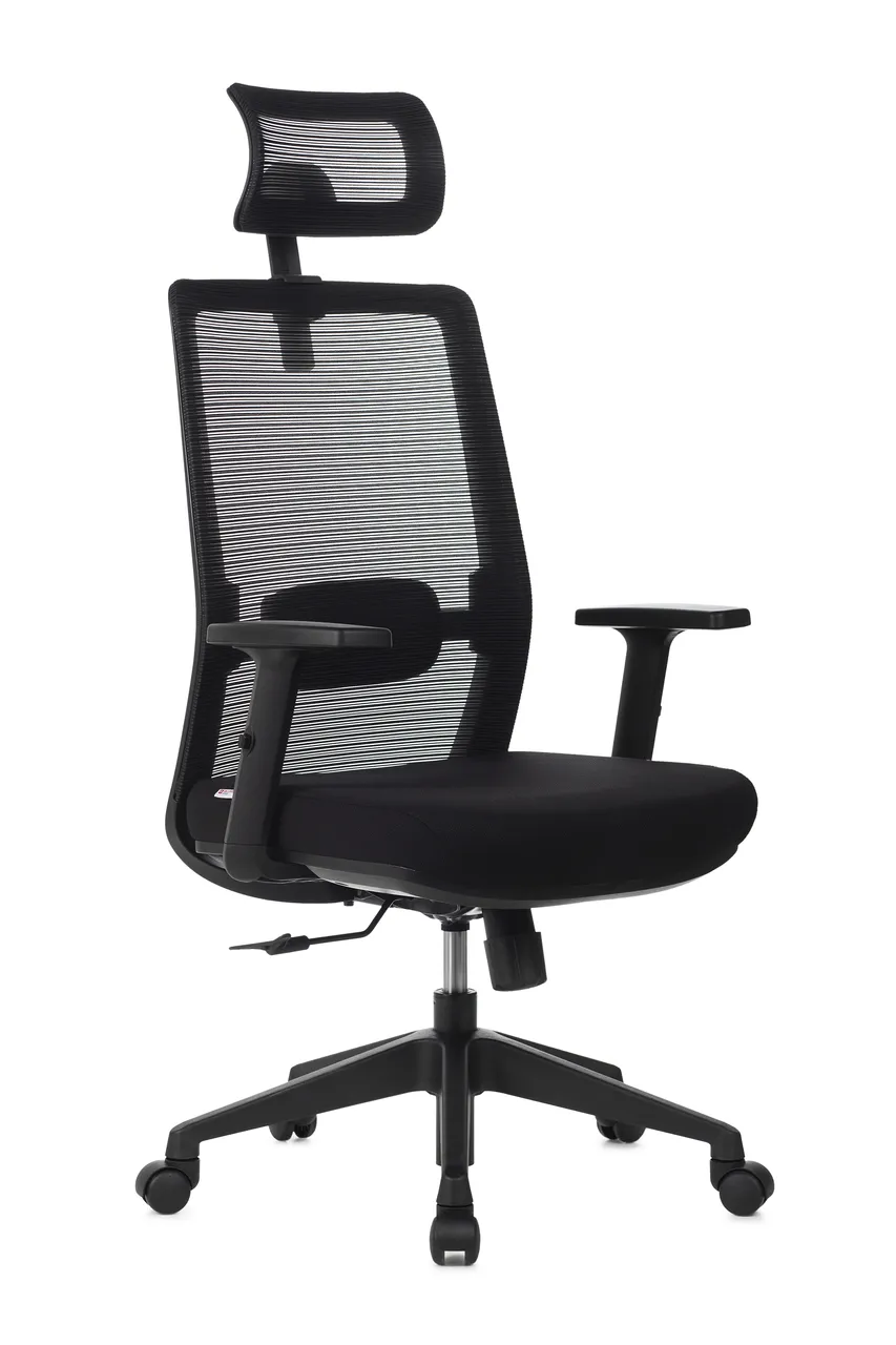 Cadeira Vitalis Presidente BLM143
